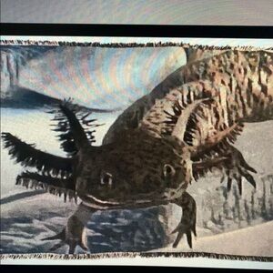 Axolotl Woven Blanket 50”x60”— Axle
